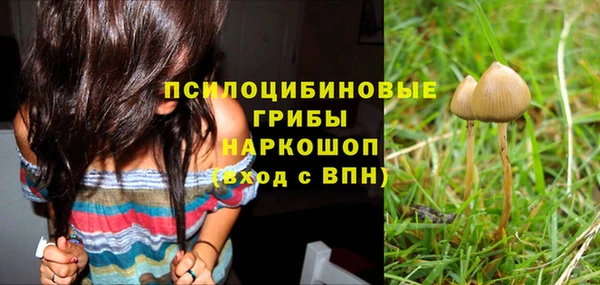соль курить ск Краснослободск